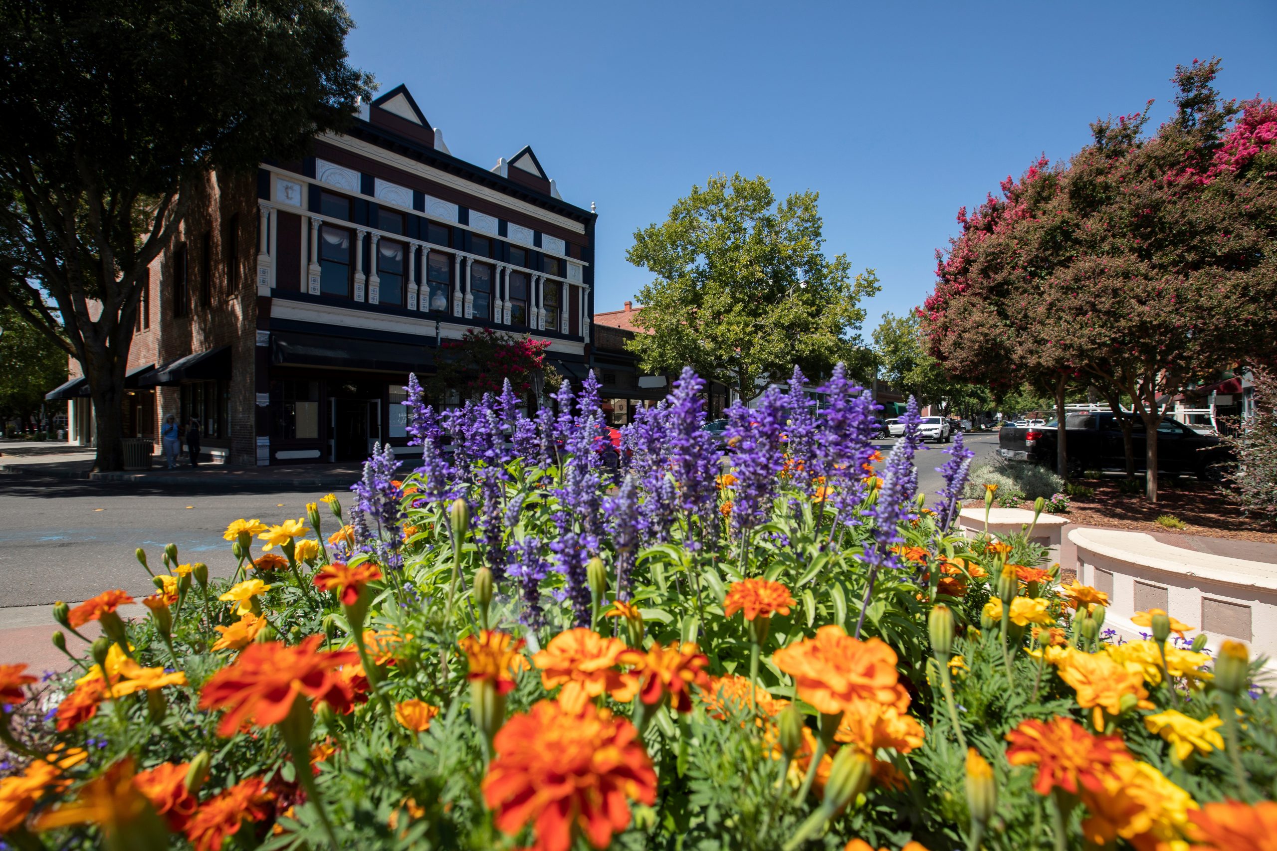VACAVILLE, CA